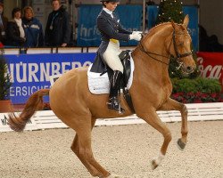 dressage horse Whisper 128 (Württemberger, 1998, from Welt Hit I O)