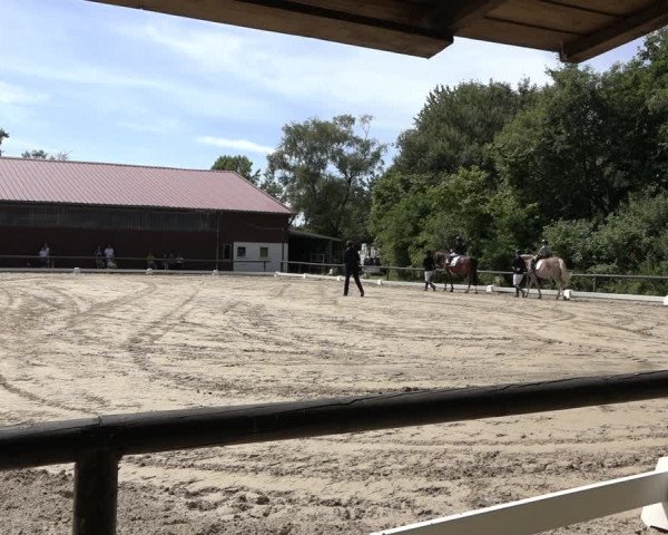 Reitturnier Marienheide-Kempershöhe 2022