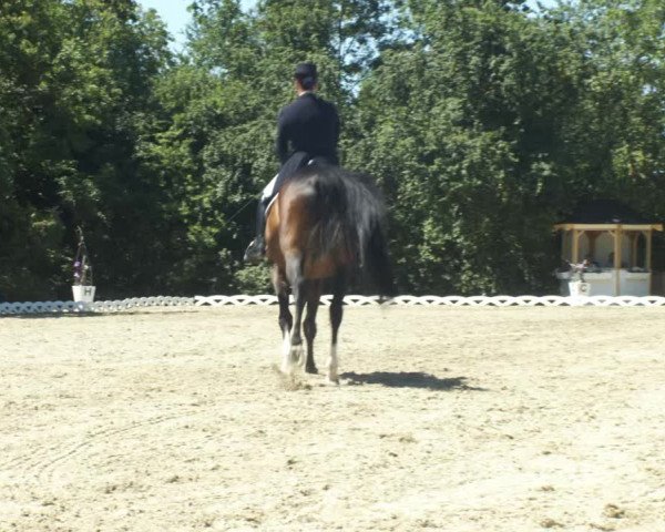 Reitturnier Gemeinde Perchtoldsdorf 2022