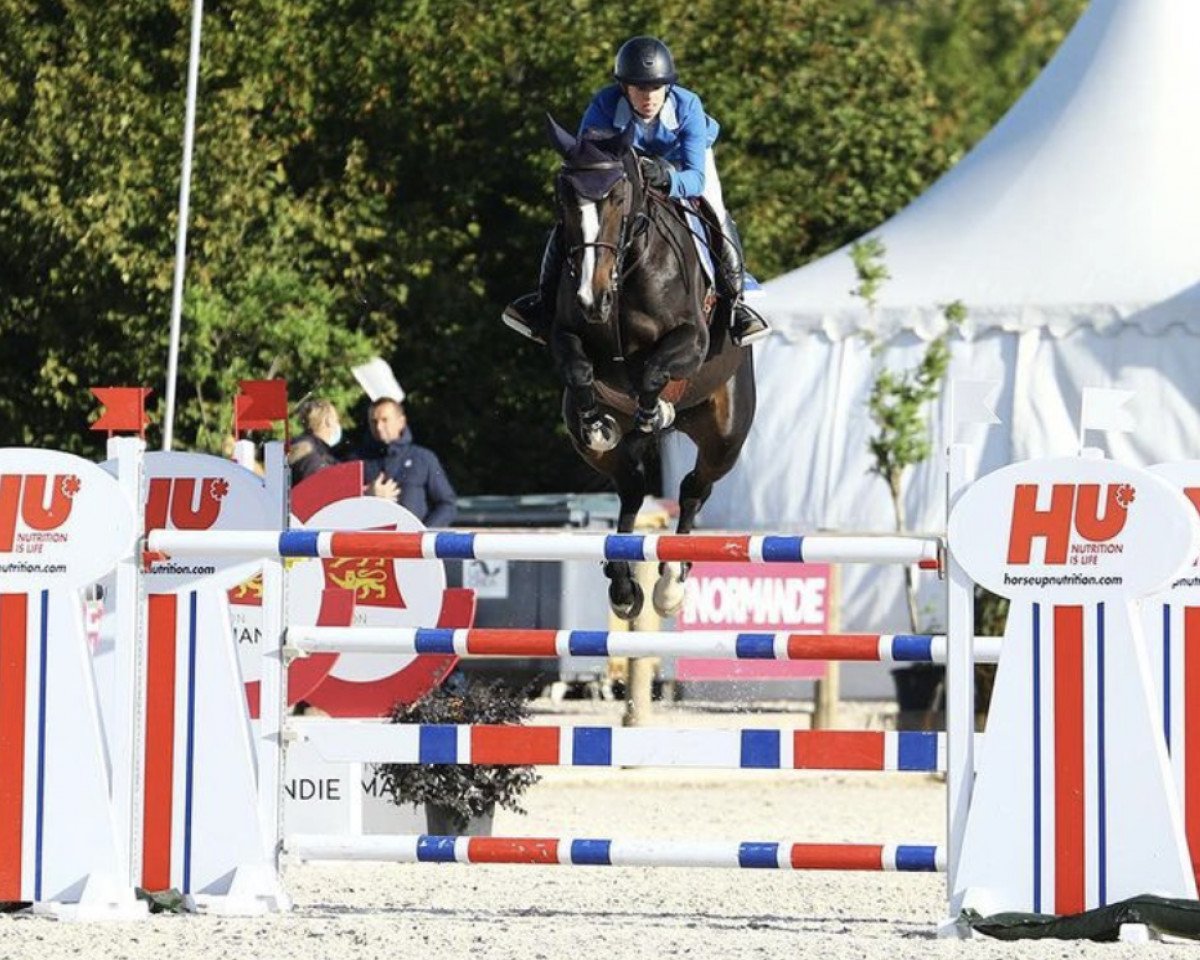 jumper Kaomi (anglo european sporthorse, 2012, from J'taime flamenco)