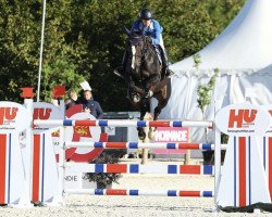 jumper Kaomi (anglo european sporthorse, 2012, from J'taime flamenco)