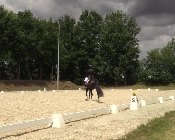 Reitturnier Greven 2022