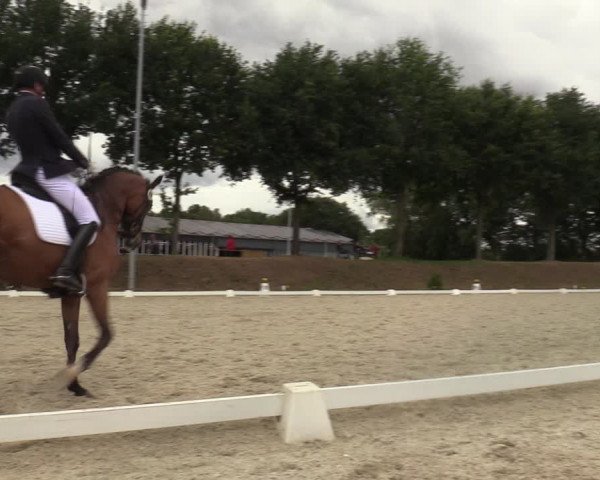 Reitturnier Greven 2022