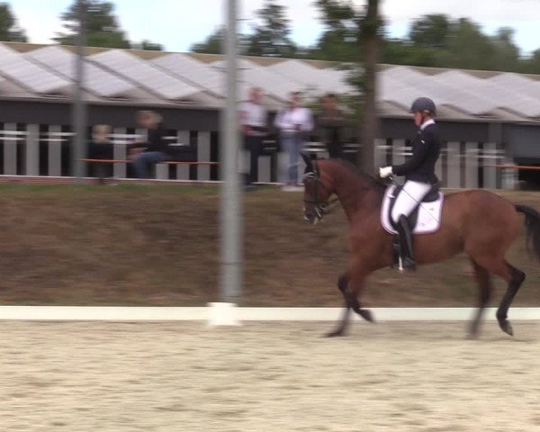 Reitturnier Greven 2022