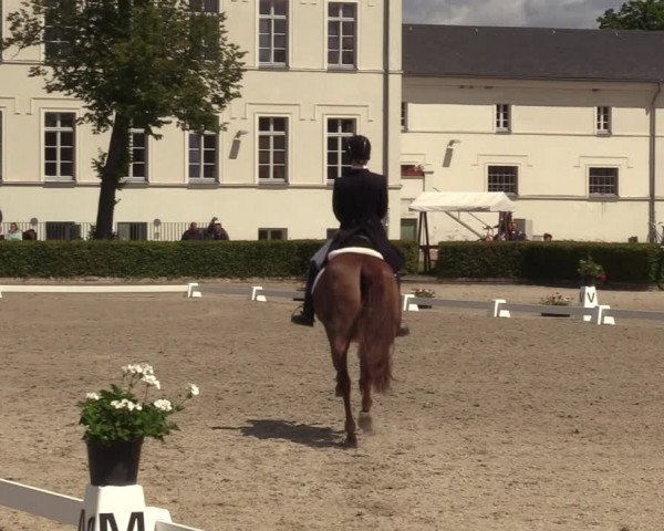 Reitturnier Neustadt/Dosse 2022
