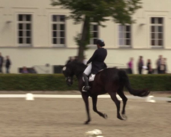 Reitturnier Neustadt/Dosse 2022