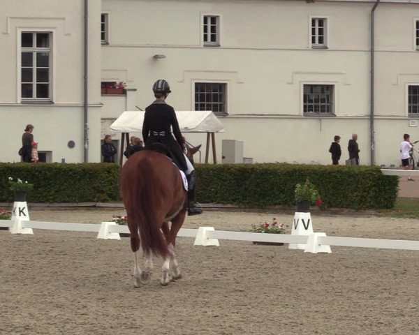 Reitturnier Neustadt/Dosse 2022
