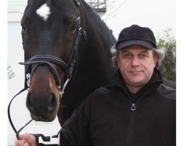 stallion Sterling Hit (Oldenburg, 2004, from Stedinger)