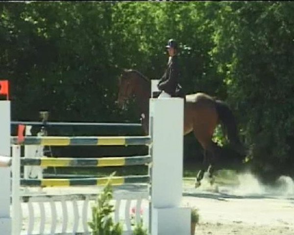 jumper Leticia 12 (Oldenburg, 1999, from Landcapitol)