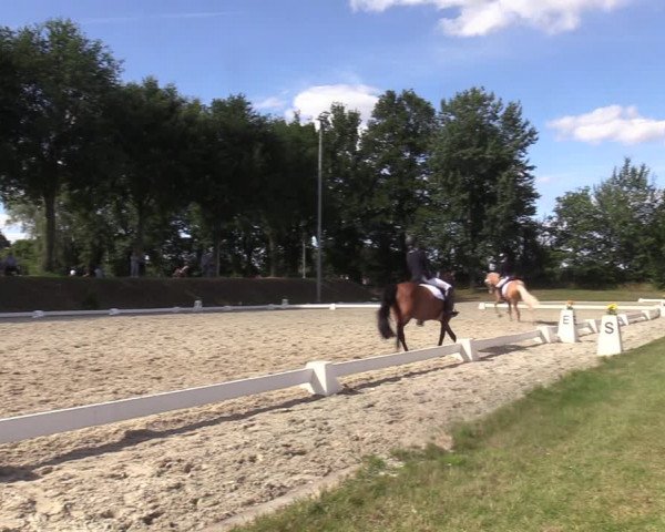 Reitturnier Greven 2022