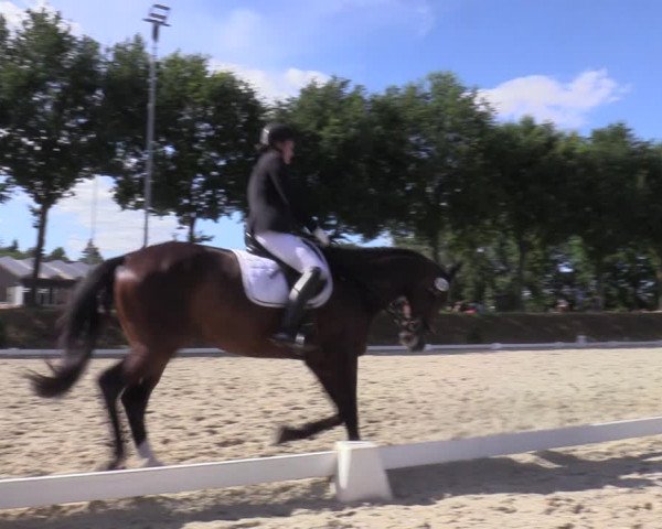 Reitturnier Greven 2022