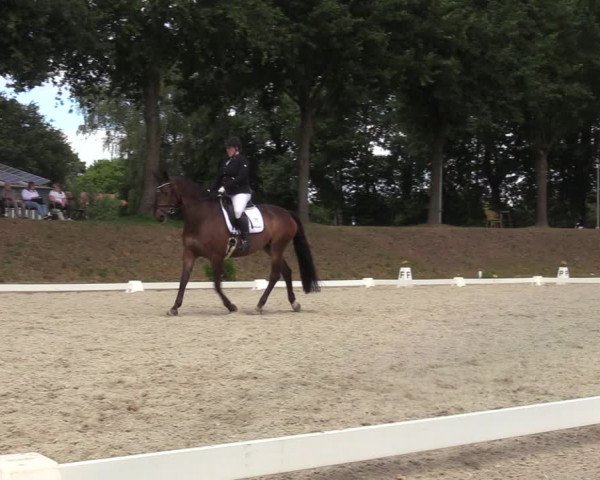 Reitturnier Greven 2022