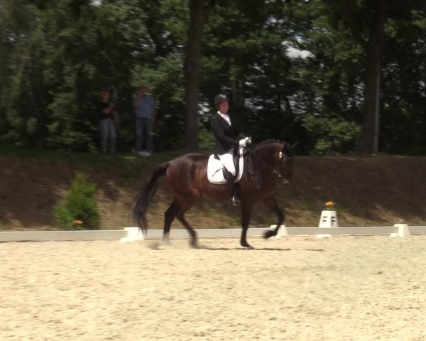 Reitturnier Greven 2022