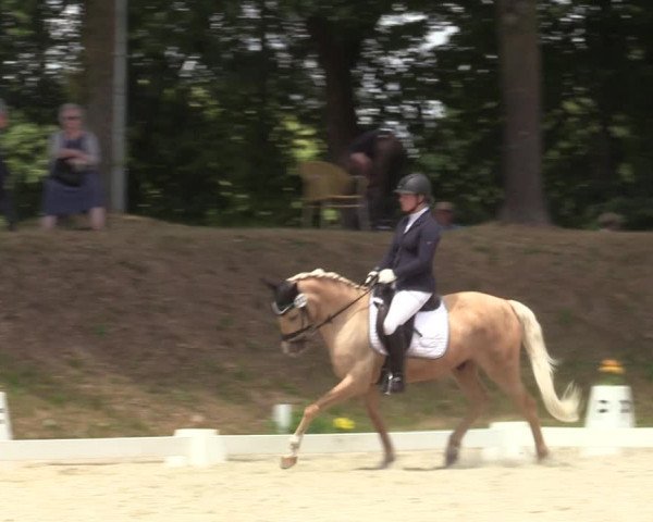 Reitturnier Greven 2022