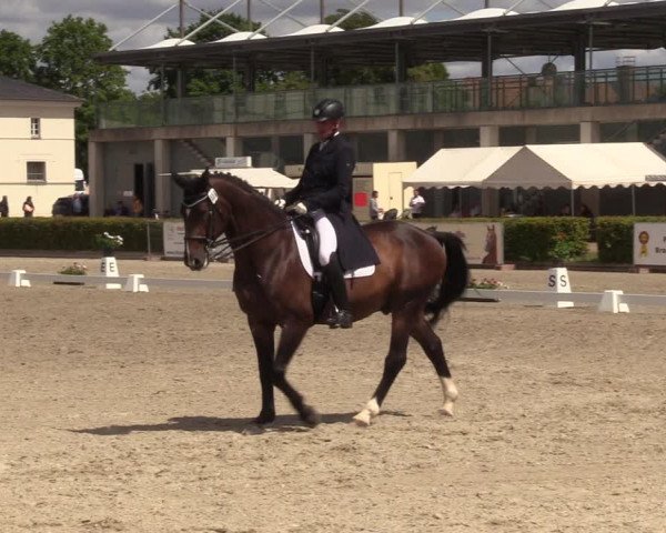 Reitturnier Neustadt/Dosse 2022