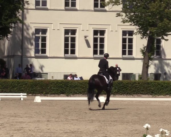 Reitturnier Neustadt/Dosse 2022