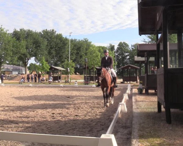 Reitturnier Greven 2022