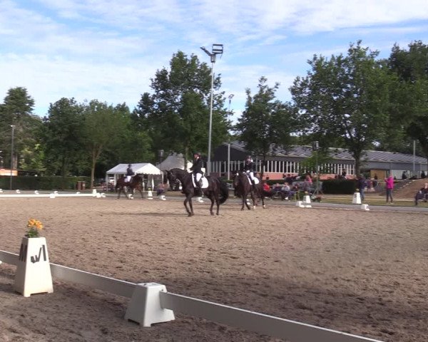 Reitturnier Greven 2022