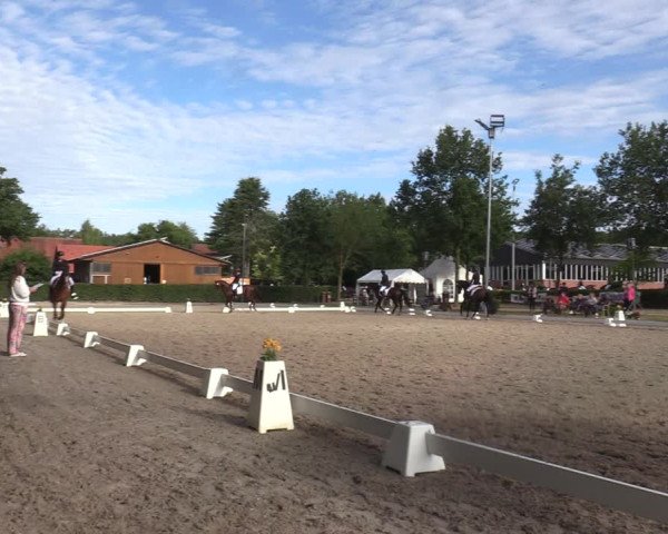 Reitturnier Greven 2022