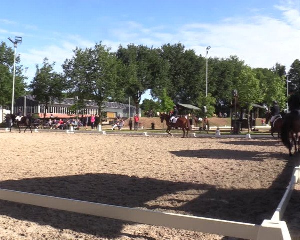 Reitturnier Greven 2022