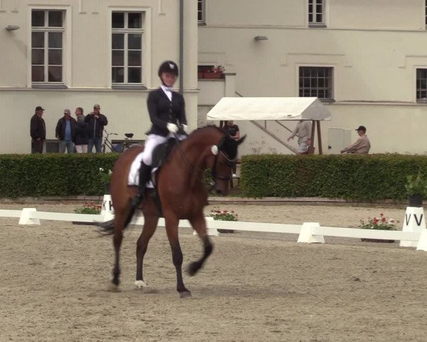 Reitturnier Neustadt/Dosse 2022