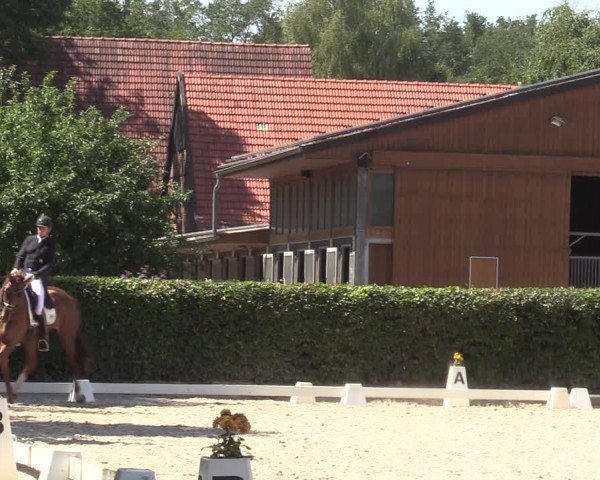 Reitturnier Greven 2022