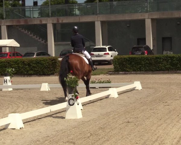 Reitturnier Neustadt/Dosse 2022
