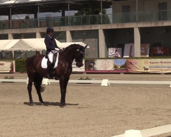 Reitturnier Neustadt/Dosse 2022