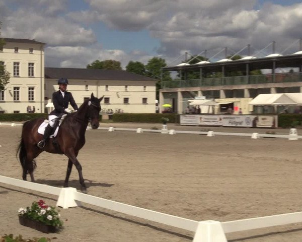 Reitturnier Neustadt/Dosse 2022