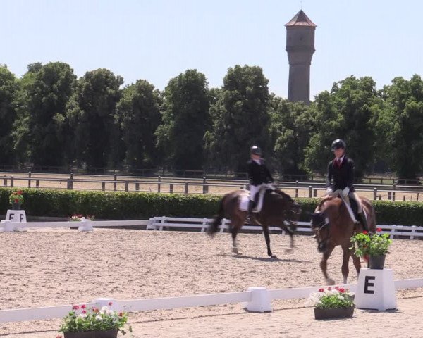 Reitturnier Neustadt/Dosse 2022