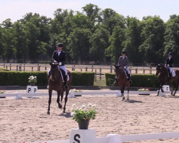 Reitturnier Neustadt/Dosse 2022