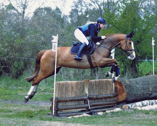 broodmare Paolina 7 (Hanoverian, 2000, from Plural)