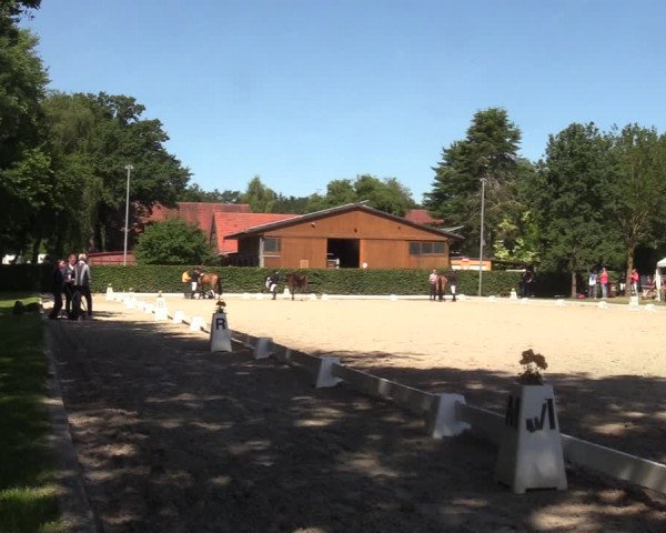 Reitturnier Greven 2022