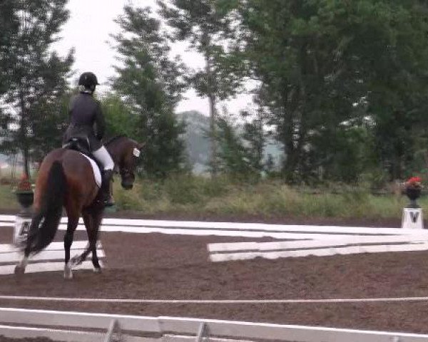 horse Le Bruno (Oldenburg, 2007, from Light and Easy)