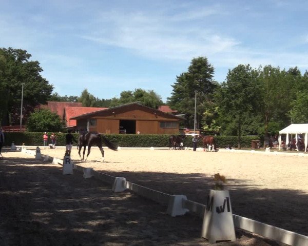 Reitturnier Greven 2022