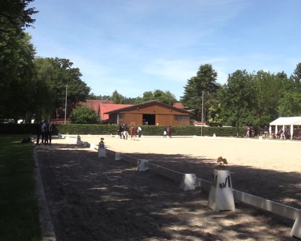 Reitturnier Greven 2022
