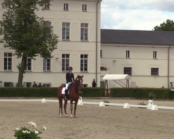 Reitturnier Neustadt/Dosse 2022