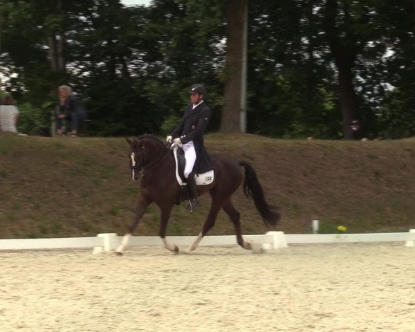 Reitturnier Greven 2022