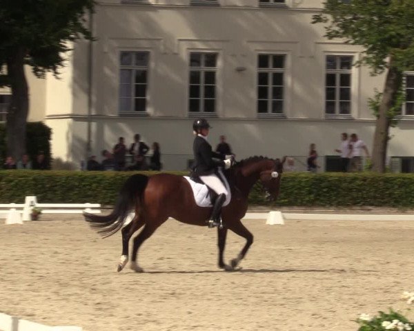 Reitturnier Neustadt/Dosse 2022