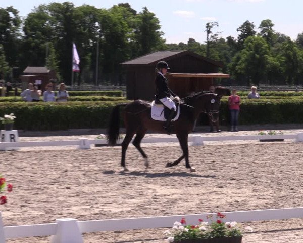 Reitturnier Neustadt/Dosse 2022