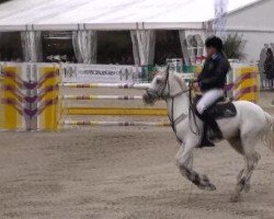 jumper Tequila Sunrise (German Riding Pony, 2001)