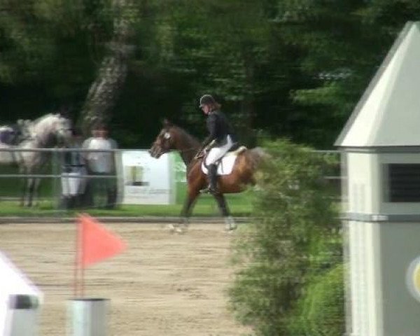 jumper Petraschkowa (Rhinelander, 2001, from Rassija Pavlin)