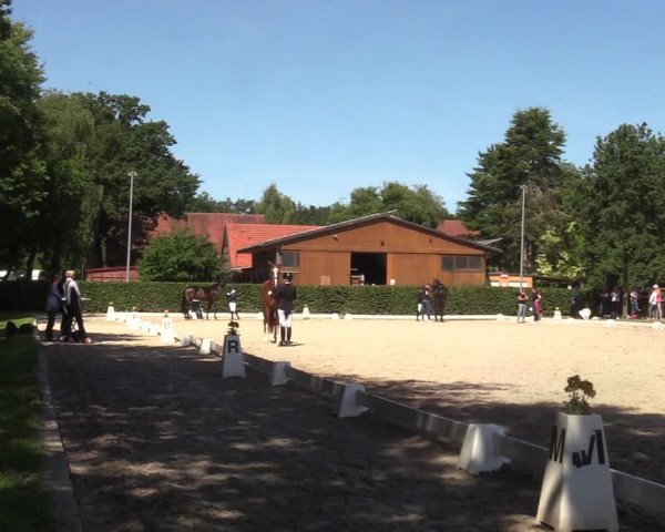 Reitturnier Greven 2022