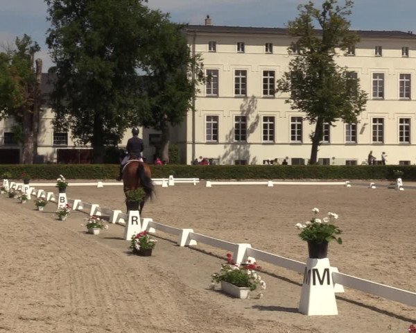 Reitturnier Neustadt/Dosse 2022