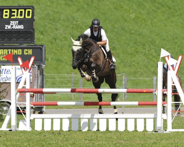 Pferd Condo di San Martino CH (Schweizer Warmblut, 2001, von Calando II)