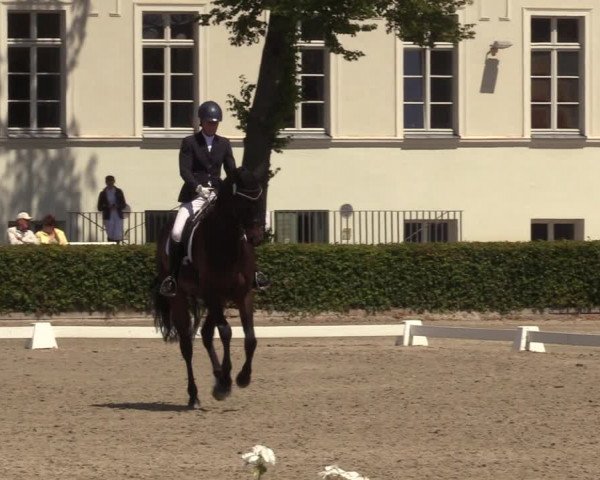 Reitturnier Neustadt/Dosse 2022
