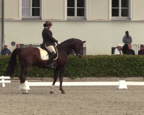 Reitturnier Neustadt/Dosse 2022