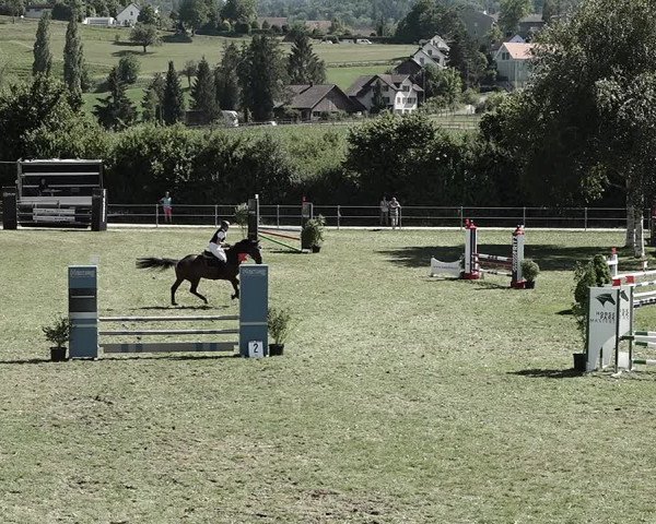 Reitturnier Elgg 2022