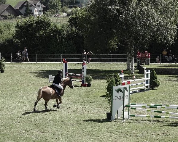 Reitturnier Elgg 2022