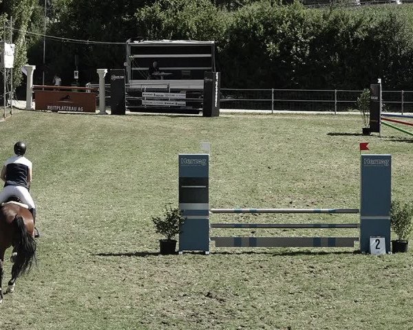 Reitturnier Elgg 2022